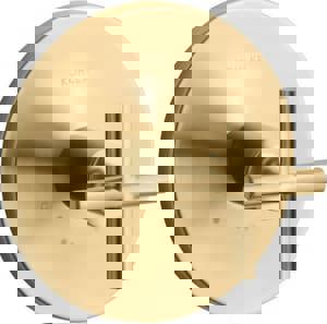 Single Handle Thermostatic Valve Trim in Vibrant Brushed Moderne Brass